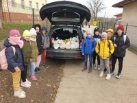 10 Voluntariat